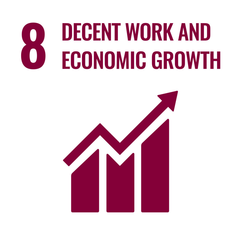 SDG 8 - Decent Work & Economic Growth