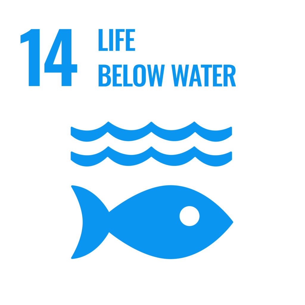 SDG 14 - Life Below Water